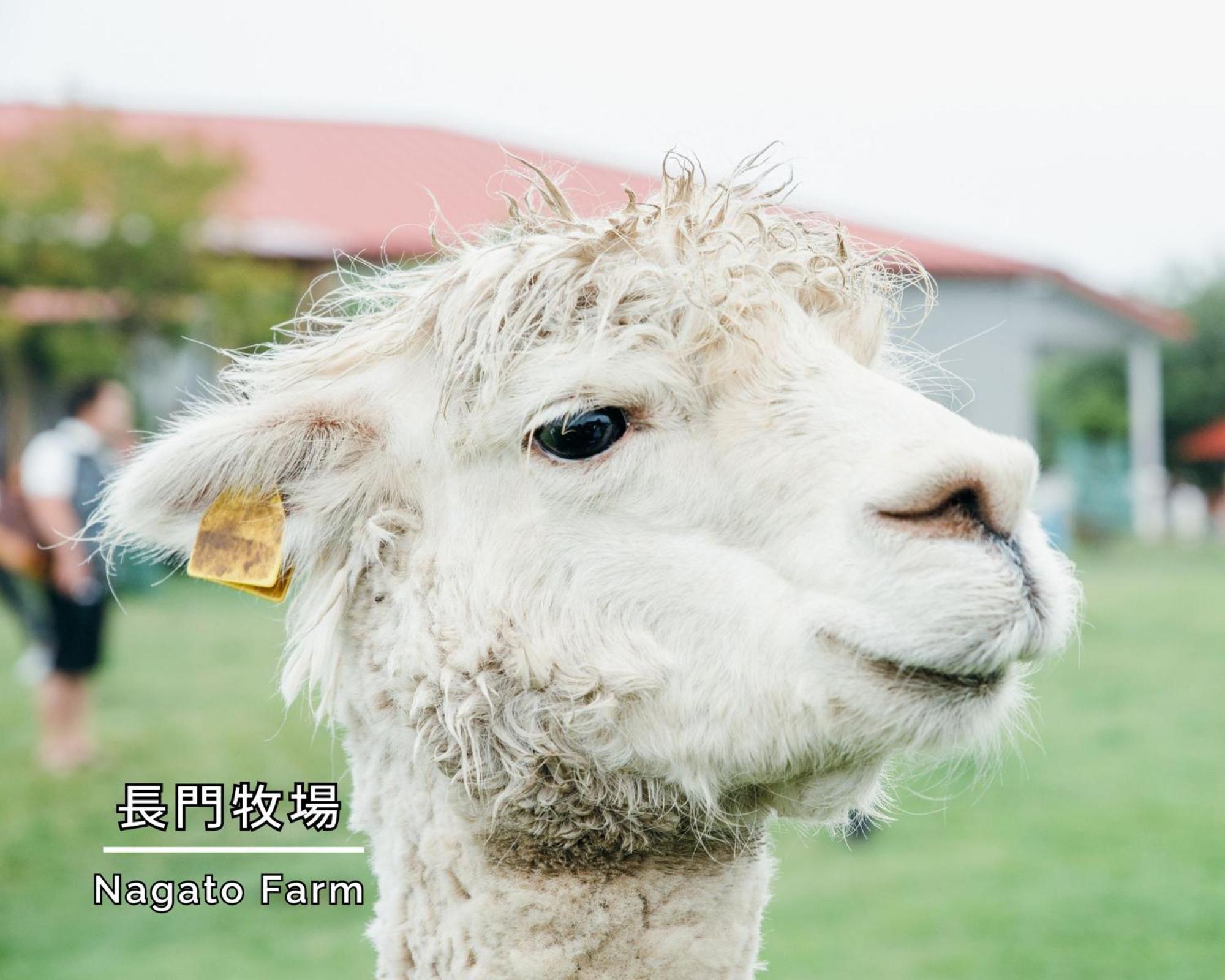 Asahikan 호텔 시오지리 외부 사진